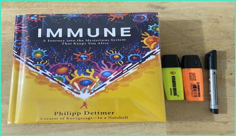 A Journey Into Musical Depth And Discovery