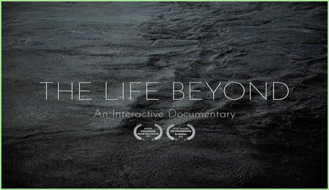 Dave Matthews's Personal Journey: Uncovering The Life Beyond The Music